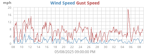 Wind Speed